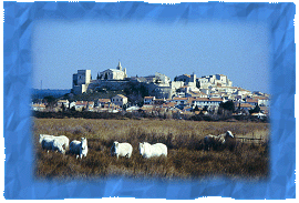 Hotel Provence Camargue